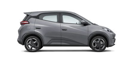 BYD Dolphin Surf