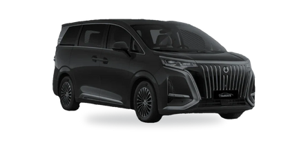 Denza D9