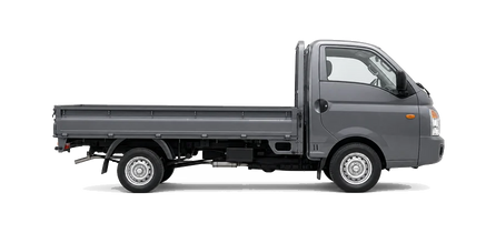 Hyundai H100