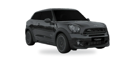 Mini Paceman