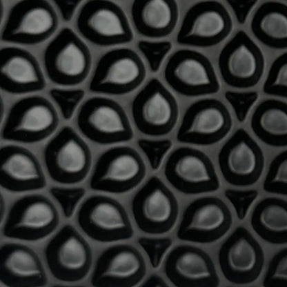 Šūnu forma – piliens